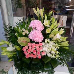 صورة واتساب بتاريخ 2025 10 01 في 19.56.54 76adf019